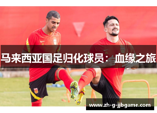 马来西亚国足归化球员：血缘之旅