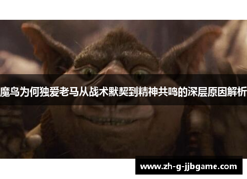 魔鸟为何独爱老马从战术默契到精神共鸣的深层原因解析